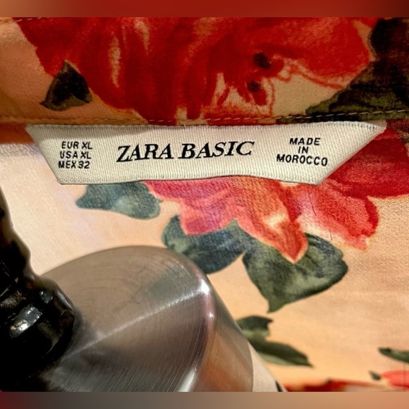 Zara Basics Sheer Blouse (XL) - Picture 5 of 7